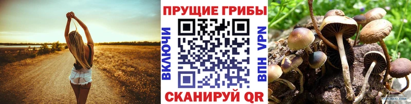 Галлюциногенные грибы мухоморы  Изобильный 